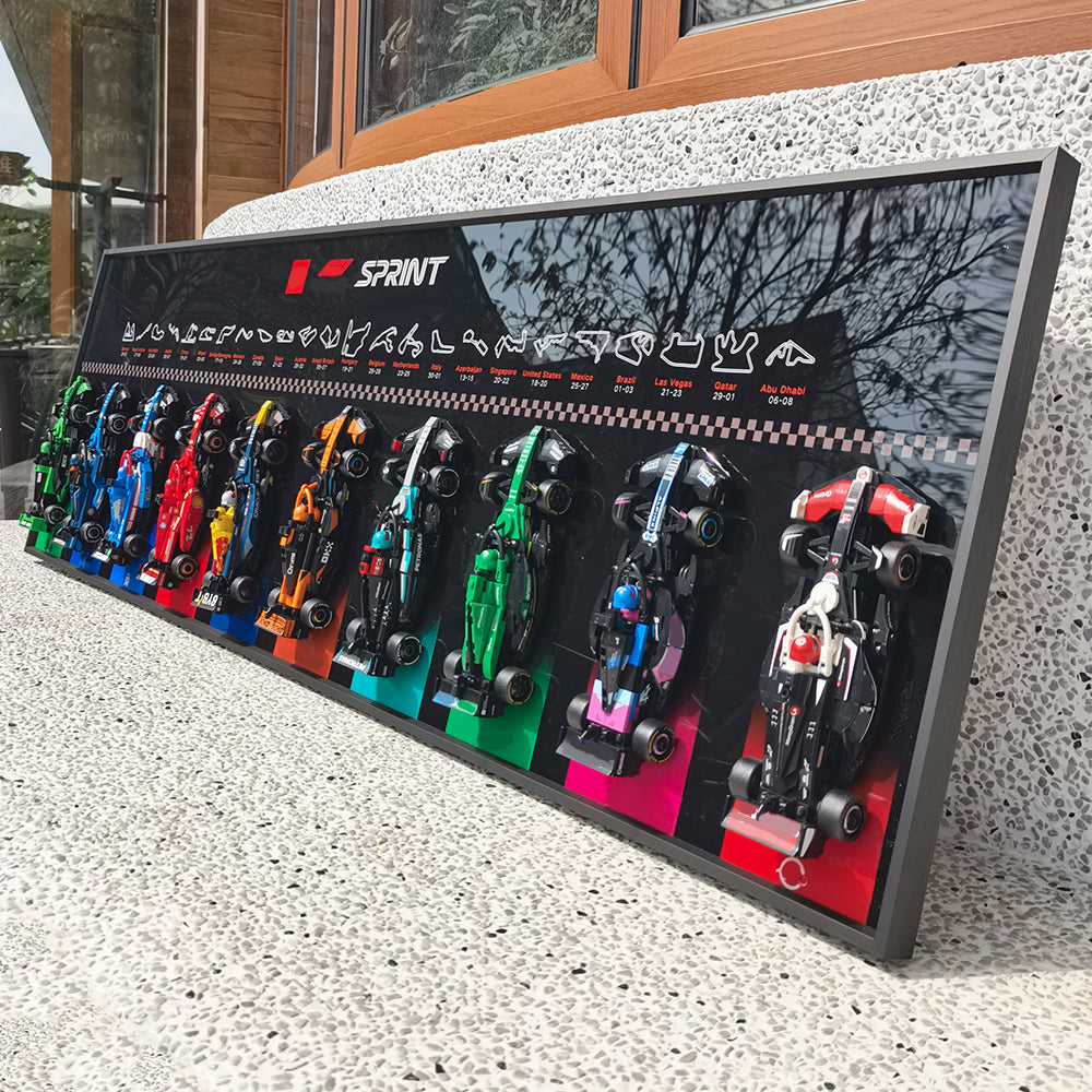 Display Wallboard for Lego Speed Champions Ultimate Formula 1 Collector's Pack - Contains 10 Sets in 1 66802,Adult Collectibles for Lego Car Wall Mount Building Blocks (Only Display Wallboard)